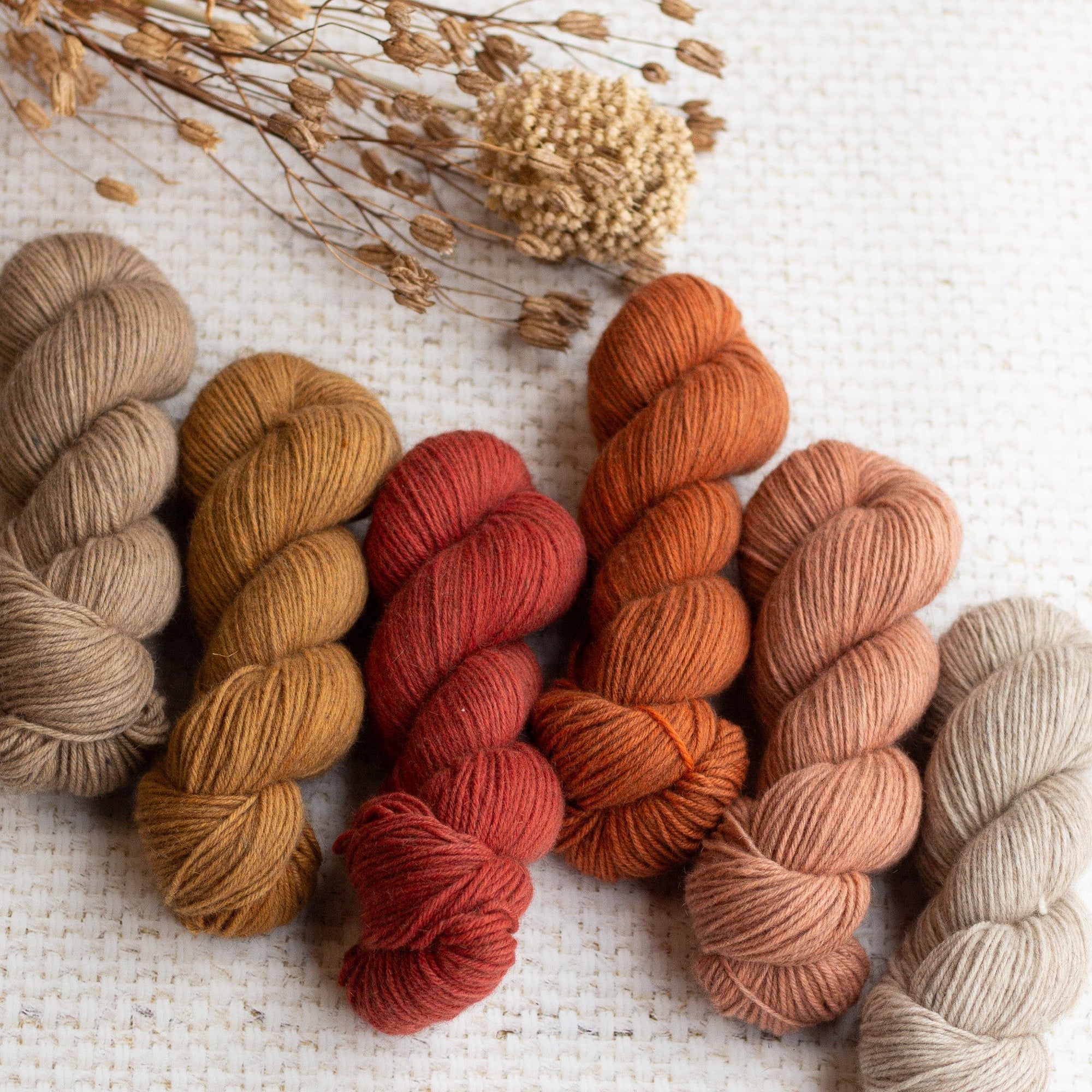 Louie & Lola Yarns Alma Cardigan Fade Kit - Denim & Salmon Run