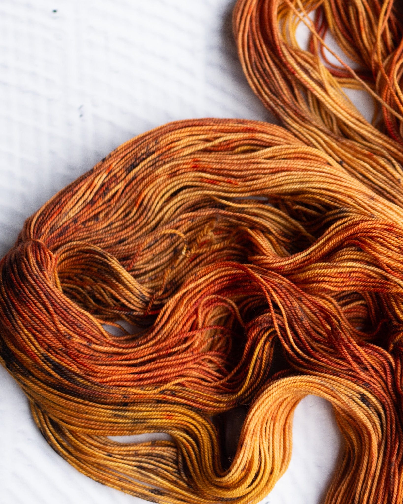 Louie & Lola Yarns Yarn Club Flock & Feather Yarn of the Month - February 2025 - Gold Laced Wyndotte